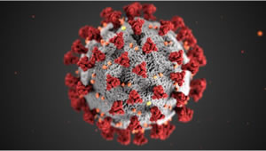 CDC COVID-19 virus