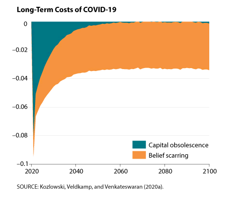 Long-Term Costs of COVID-19
